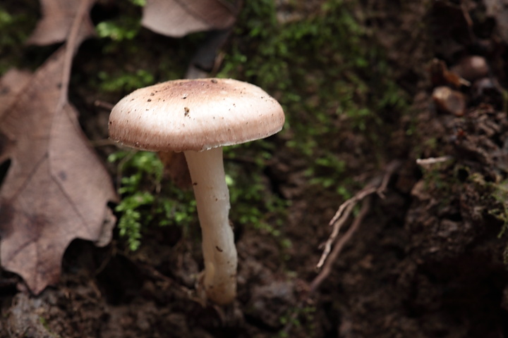 Ritrovamenti di oggi